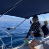 Big Smile Charters Calderones Tenerife Sur