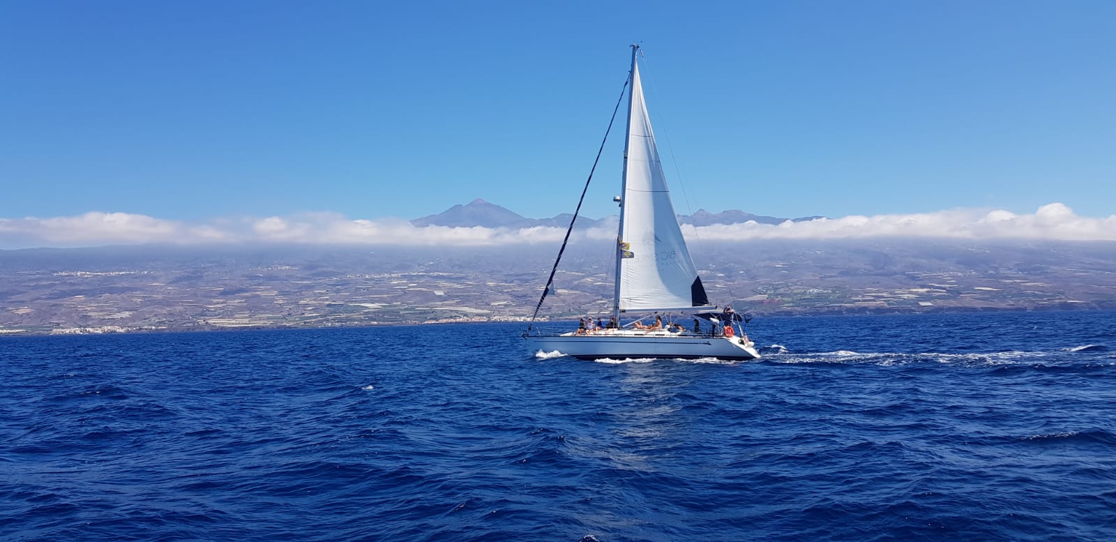 Excursión de avistamiento de fauna marina en Tenerife desde velero Big Smile Charters Puerto Colón